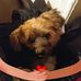 Jamie-lynn Freeman - Facebook