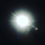 Jamie Freund - @cookieasf - Instagram