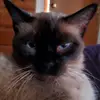 jloufulks - @jamiefulks - TikTok