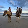 jamiegaither3 - @jamiegaither3 - TikTok