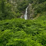 Jamie Galloway - Facebook