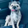 Jamie Garman - @jamiegarman - TikTok