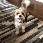 Jamie Geller - @jamie.geller - Instagram