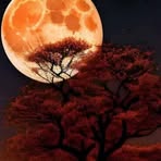 Juma Geming - Facebook