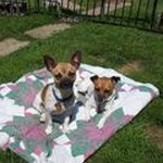 Jamie Parker Gerhart - @jamieparkergerhart - Instagram