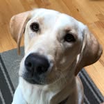 Jamie Gish - @thegisher - Instagram