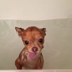 Jamie Gladden - Facebook
