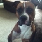 Jamie Goode - @jamiegoode__ - Instagram