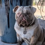 Jamie Goode Natkowski - @jnatkowski - Instagram