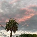 Jamie Goodrich - @mamashark6004 - Instagram