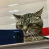 Jamie Grimm - @jamie.grimm24 - TikTok