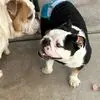 Jamie Gustafson - @jamie.gustafson - TikTok