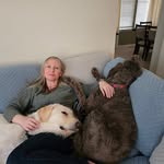 Jamie Hagerman - @jamiehagerman - Instagram