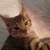 Jamey Hamby - Facebook