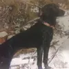 jamiehanke485 - @jamiehanke485 - TikTok