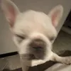 💤 - @jamiee.chan - TikTok
