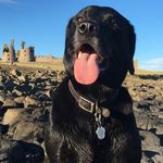 Jamie Hanson - @jamiehanson7650 - Instagram