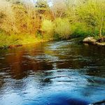 Jamie Harrell - @jamie_harrell68 - Instagram