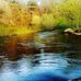 Jamie Harrell - Facebook