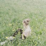 dumm_heit_jamie - @dumm_heit_jamie - Instagram