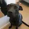 zwck_Jamie [: - @jamie.herrmann84 - TikTok