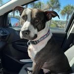 Jamie Holtz - @jaholtz12 - Instagram