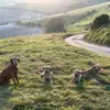 Jamie Horner - @jamie.horner - TikTok