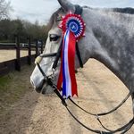 jamie hulbert brown - @showjumperjamie - Instagram