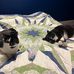 Jamie Hurd - Facebook