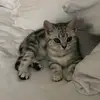 Jamie_hse - @jamiehuse - TikTok