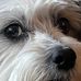 Jamie Huskins - Facebook