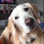 Jameson Campbell - @ice_ice_jamie - Instagram