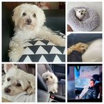 Jamie Ison - @ison8491 - Instagram