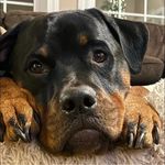 Jamie Jaeger - @jaegerj76 - Instagram