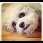 Jamie Jaffe - @punev1 - Instagram