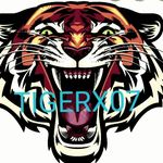 Jamie-Jerome Rackow - @tiger_x07 - Instagram