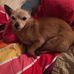 Jamie Jessup - Facebook