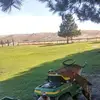 jamiejolley8 - @jamiejolley8 - TikTok