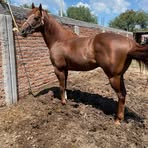 Jaime Juarez - Facebook
