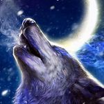 Jamie Juarez - @wolf_girl_21 - Instagram