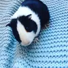 jamiekappert - @jamiekappert - TikTok