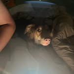 Spam - @jamiekarp_ - Instagram