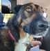 Jami Kee - Facebook
