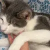 Hi🤍 - @jamie.keefe - TikTok