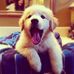 Jaime Kerner - Facebook