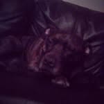 Jamie Kettlewell - @jamiekettlewell1234 - Instagram