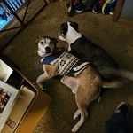 Jamie Keyser - @icculustheprofit - Instagram