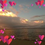 Jamie Collins - @jamiekittscollins552 - Instagram