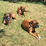 jack and jamie and kolbe - @jack.jamie.kolbe - Instagram