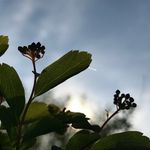 Jamie Krajewski - @jamiesphotos00 - Instagram